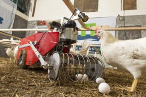 ROVA Automated Egg Collector