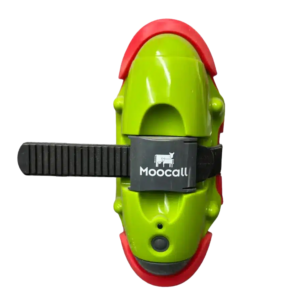 MOOCall
