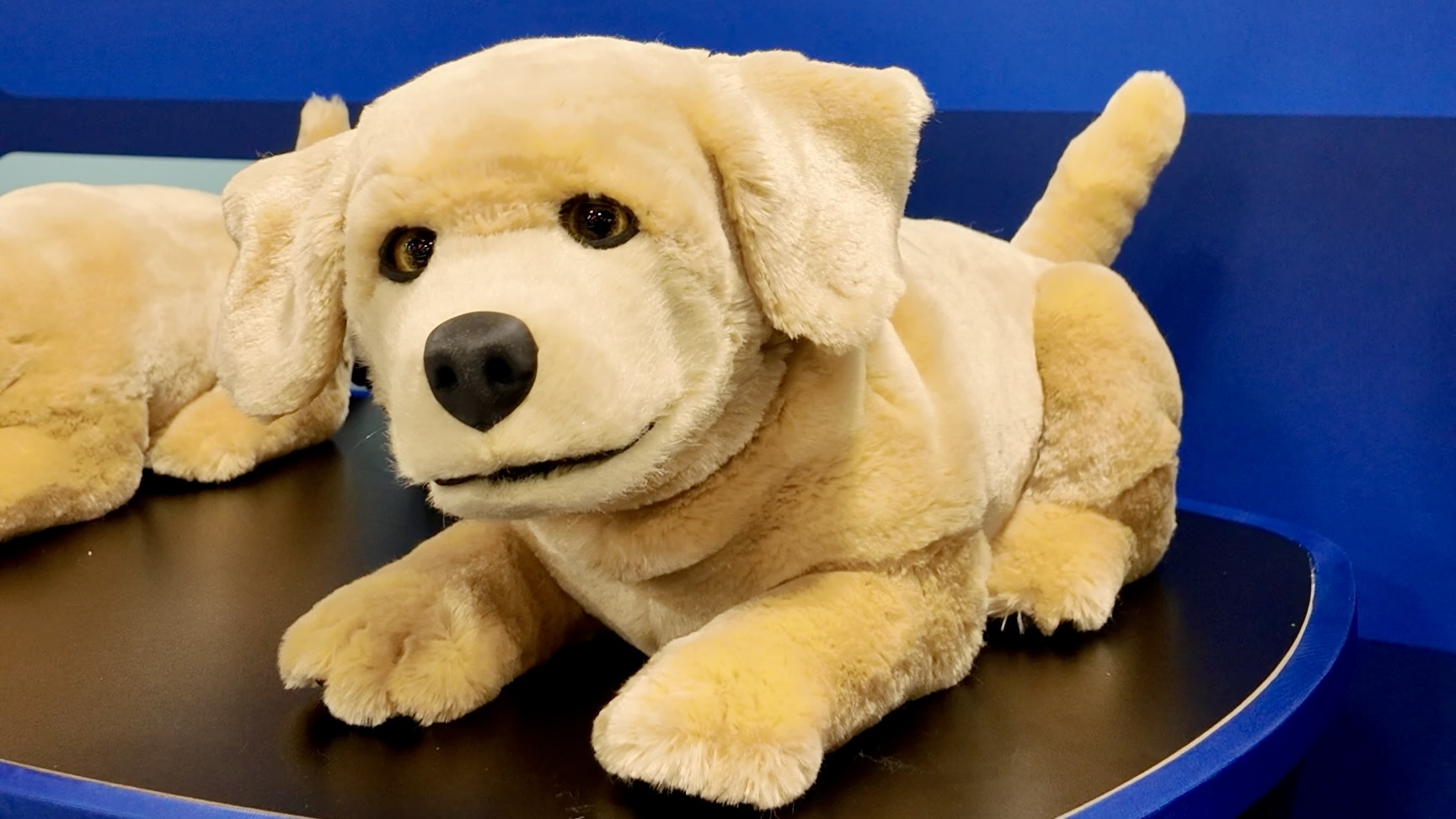Tombot’s Hyper-realistic Dog